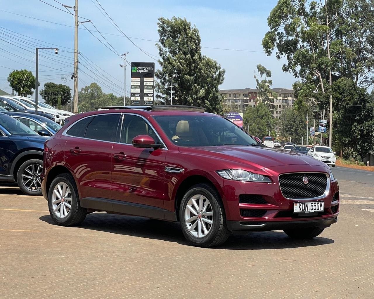 Checking Comfort Features Before Buying a Premium SUV